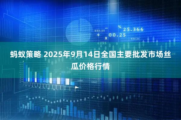 蚂蚁策略 2025年9月14日全国主要批发市场丝瓜价格行情