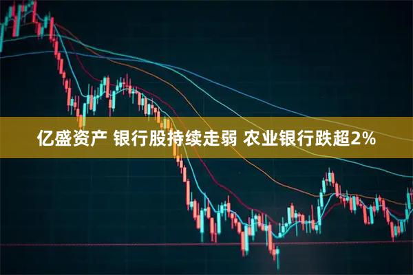 亿盛资产 银行股持续走弱 农业银行跌超2%