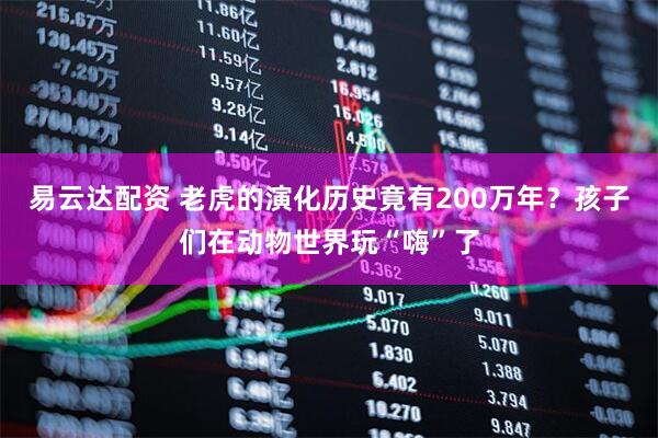 易云达配资 老虎的演化历史竟有200万年？孩子们在动物世界玩“嗨”了