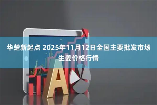 华楚新起点 2025年11月12日全国主要批发市场生姜价格行情