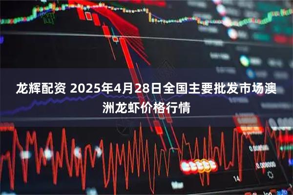 龙辉配资 2025年4月28日全国主要批发市场澳洲龙虾价格行情