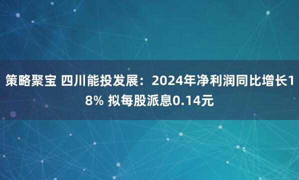 策略聚宝 四川能投发展：2024年净利润同比增长18% 拟每股派息0.14元
