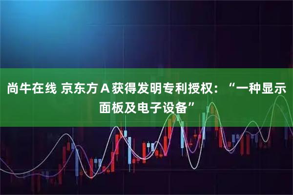 尚牛在线 京东方Ａ获得发明专利授权：“一种显示面板及电子设备”