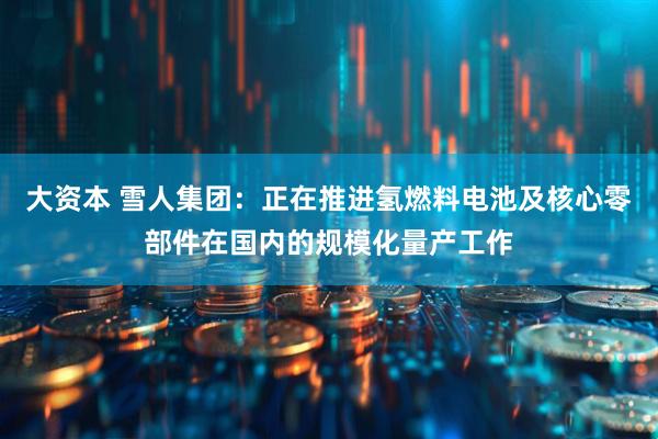 大资本 雪人集团：正在推进氢燃料电池及核心零部件在国内的规模化量产工作